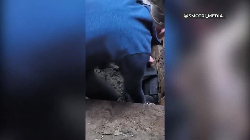 � ����������� ������� �������� ����� ������ ������������, � ���������� �������� ����� ����������� � �� ��� �� ����������� �������