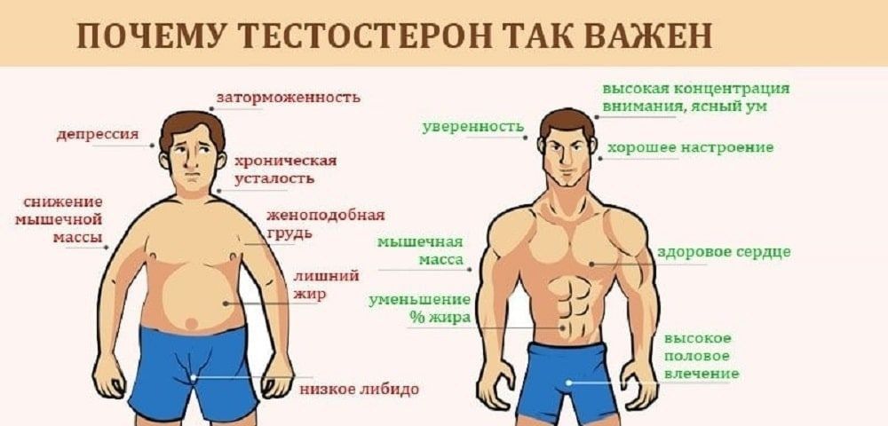 ��� �������� ����� �����