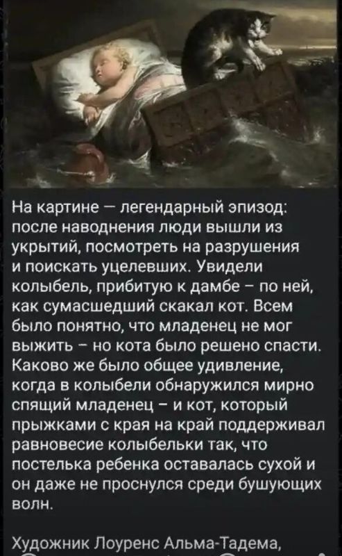 ���� ����� ������� � ��������