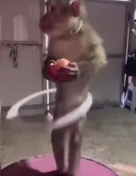 � ������ �����. �������