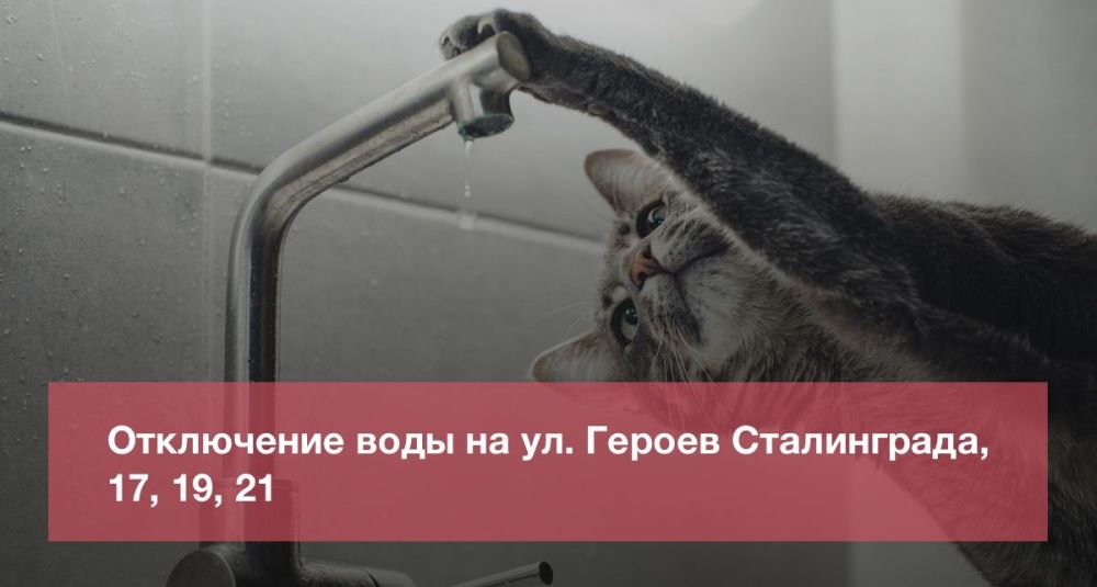�� ����� ������ �����������, 17 ����������� ���������� �������� ��������� ������