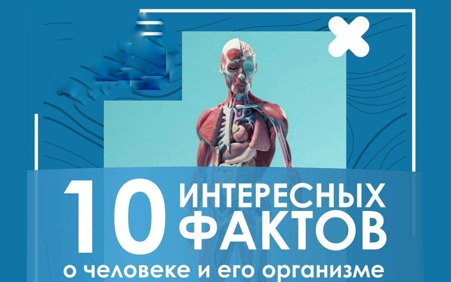 10 ���������� ������ � �������� � ��� ���������