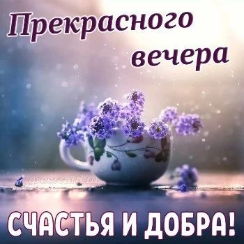 ����� ����������