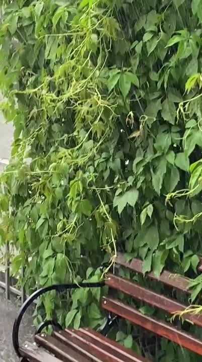 � ���������� ������� ������