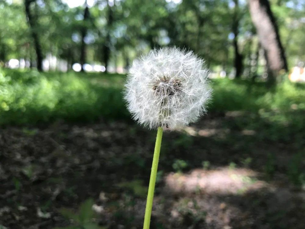 � ���������� �������� ����������� � ��� ��� �� ����