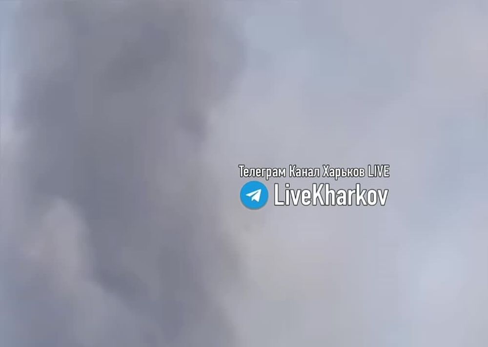 � �������� ���� ������ ������