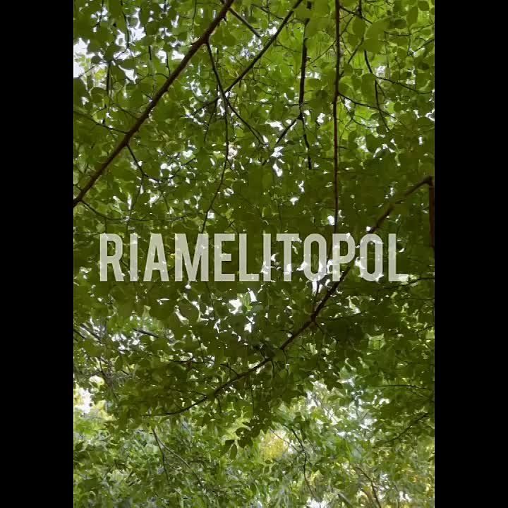 ���������� � ������� � �������� ��������������� ������ ����������� �������