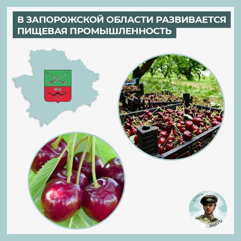 � ����������� ������� �������� ����������������� ����� ��������������� �����