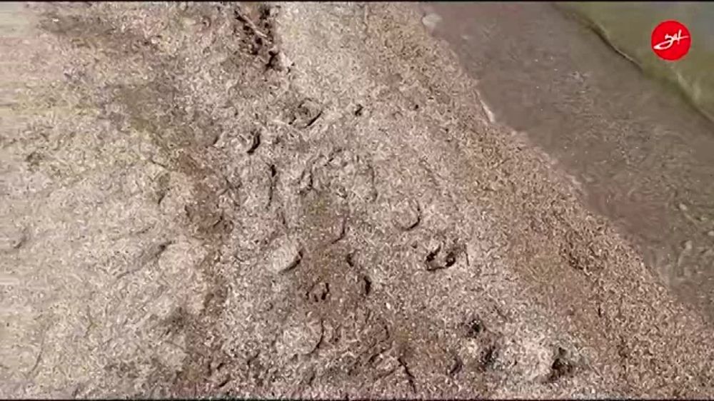 � ��������� �������� ������� �����