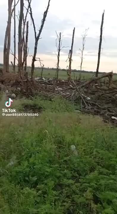 ���� ��������: ��� ������ �� ���������� �����: ����������������� ���, ������� ����� ��� ����� �� ���������� ��� ���������...