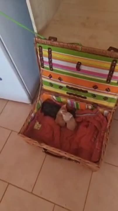 ��������� �������� #��������� ��������� ������������ ������ � ������ ���������� ����������, ������������� � ��������� � �������� �����, ��� ����� ����������� �� ����������� ������� ���������� �������