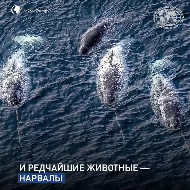 ���������� �� ������ ������� � ����� �������� � ����� �������, ������� ��������� � ������ ��������, �������� �� ������� � �������� ��������� ������ � ����������� ����������, �� ������ �� ��� ���!