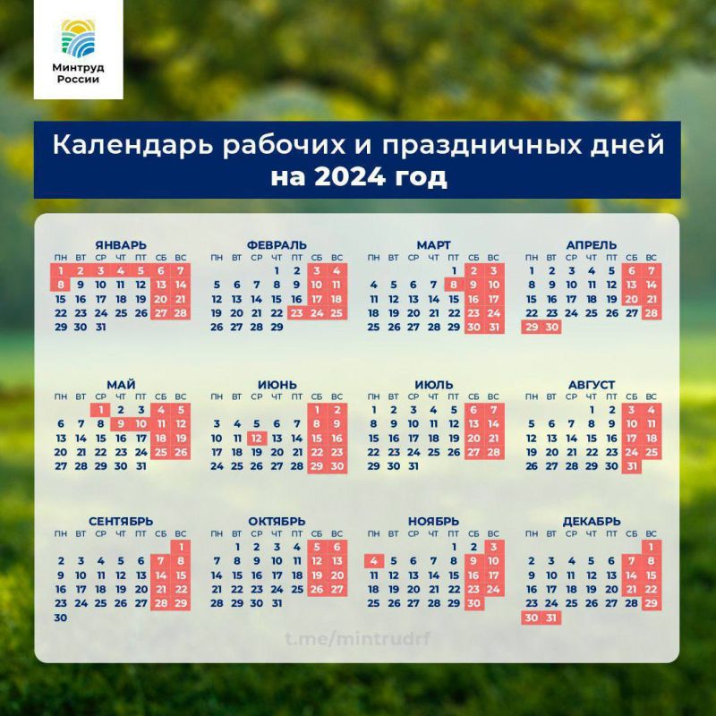 ������ ������: ��� �������� ����� �������� � 2024 ����: ������� ����������� ������ �������������, ������� �������� �������� � ����������� ����