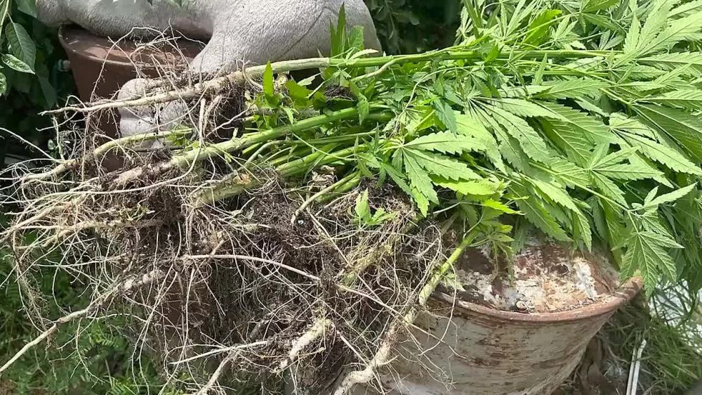 ������ ������: � ��������� ����������� ������ ��������� ������������ �������