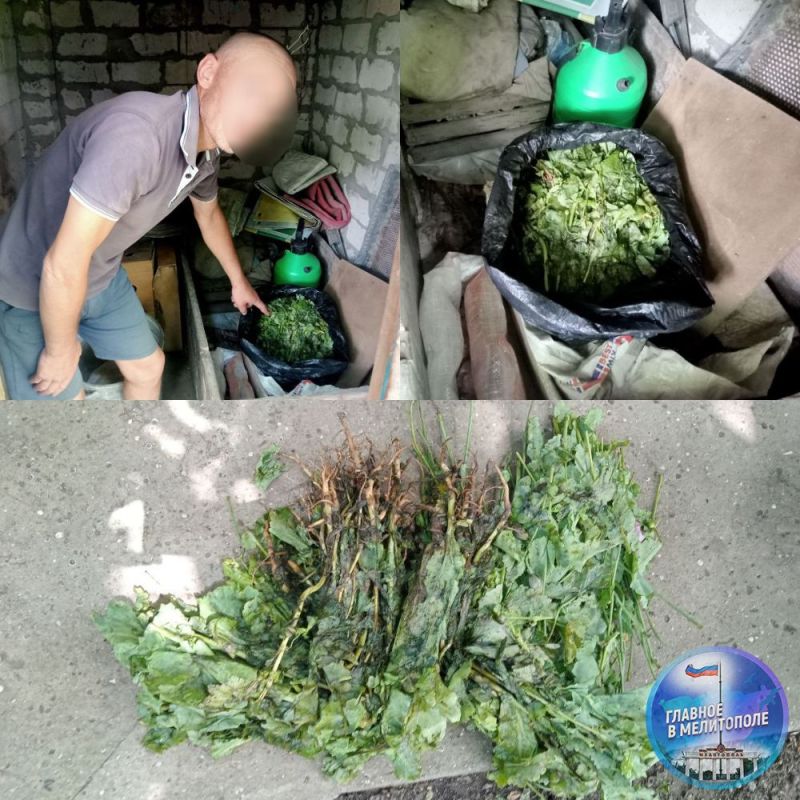 ���������� ������� ����� ����� ������ ���������� ������������ �������� � ������ ������������