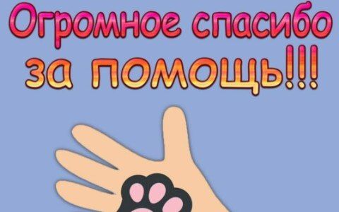 ������������ �������!. ������������� ���������������� �� ������� ������������� ��� "�����" � ���� ��������� ��������� �.�. � ��� ����������� �� ��������������� ������� � �������� ������������ ������ �������� ���������� ���������