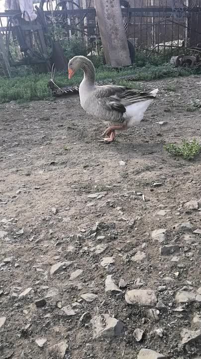 ������ ������������ �������� ������ �� ������