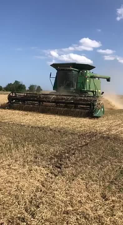 ���� ���������. ���� ������� �� ����. ����� � ����� �����������
