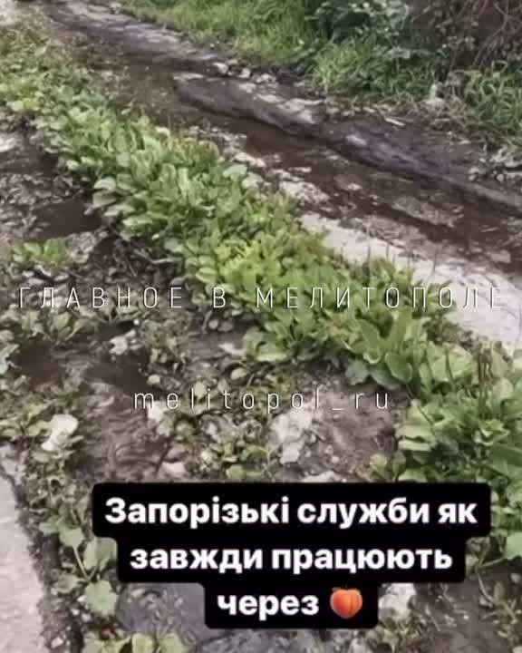 ������� �������� ��������������� ��������� ��������� ������ �� ����, ������� ����� �� ������ ������ �� ���������� ����