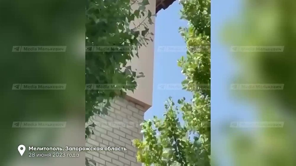 ��������� ���������: ����������� ����� ������������� ������ ��������� ����������� �������