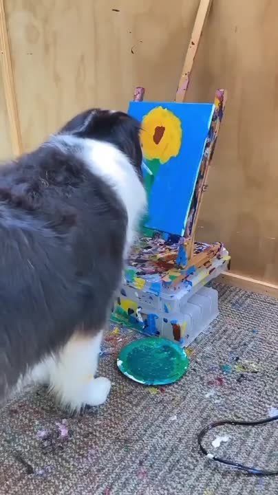������� ��������� ���� ������ ������ �� �������� �������� (������� �������, ������ ������������ �� �� �����)