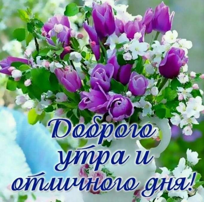 � ������ �����! ����� ��� ����� ��������� ��������� �����������, ��������� � ���������, � ���� �������� ��� ����� ������� �������