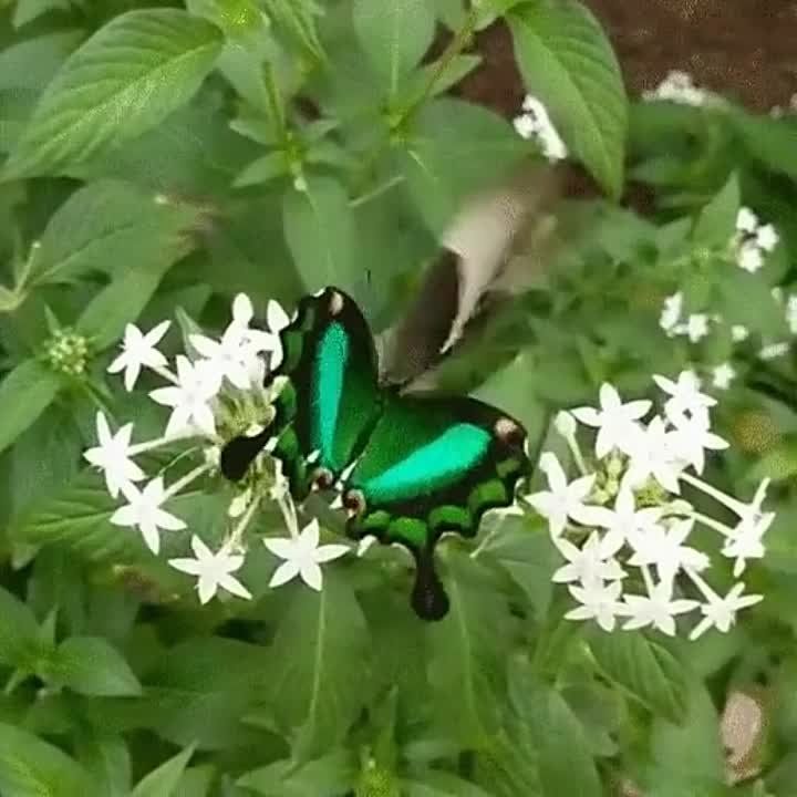 ������� ������ ��������������, ���������� � �����������, � ������ ��������� �����! ��� ��� ���������