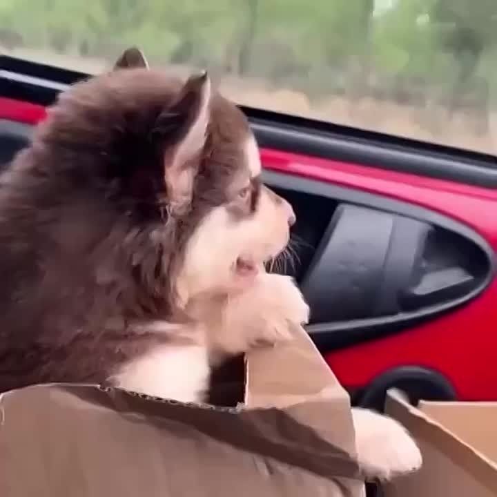 ����� ����� �� ���� � ���������� ��� ����� � �����