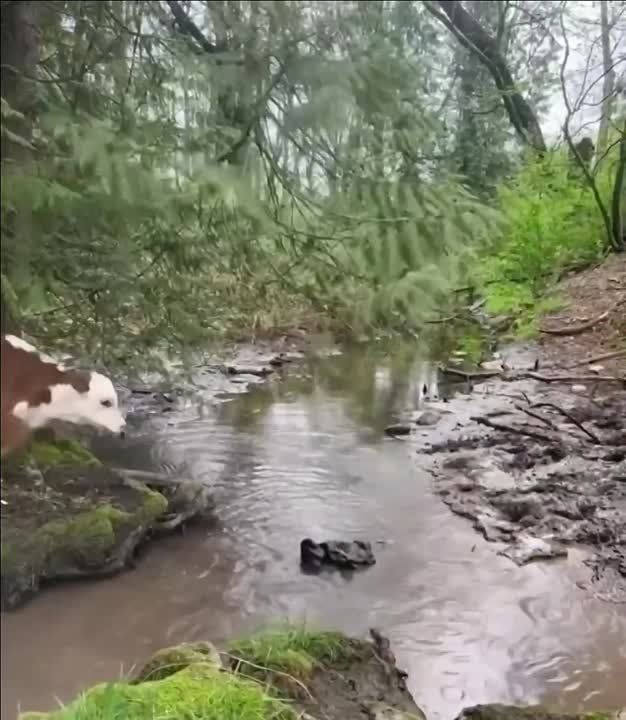 ������ ������: ���� ������� ����! ������� �� ����� ����� � ������� � ����, ��� ��� �����������