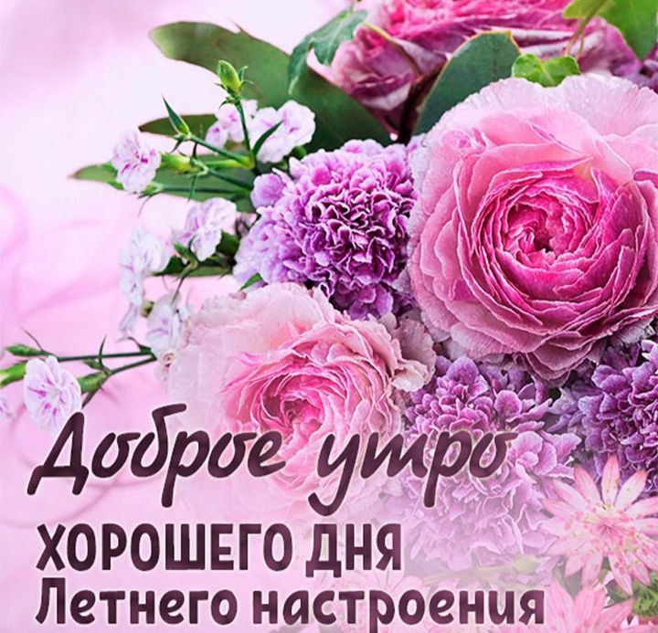� ������ �����, � ����� ����! ������ ���� ����� ������, ������� � ������������