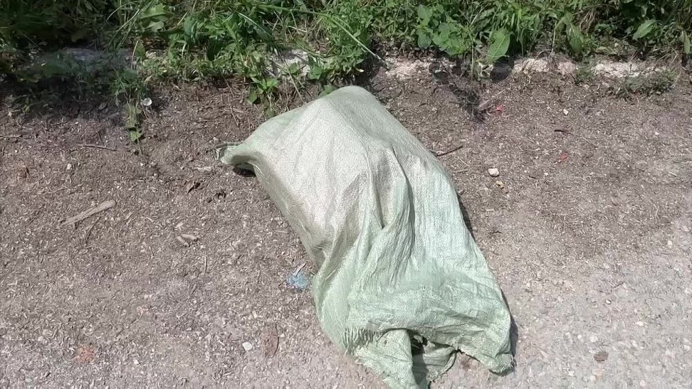 ������ ������: ��� ������������� ������ ���������� ����� ����� �������� ���������� �����������