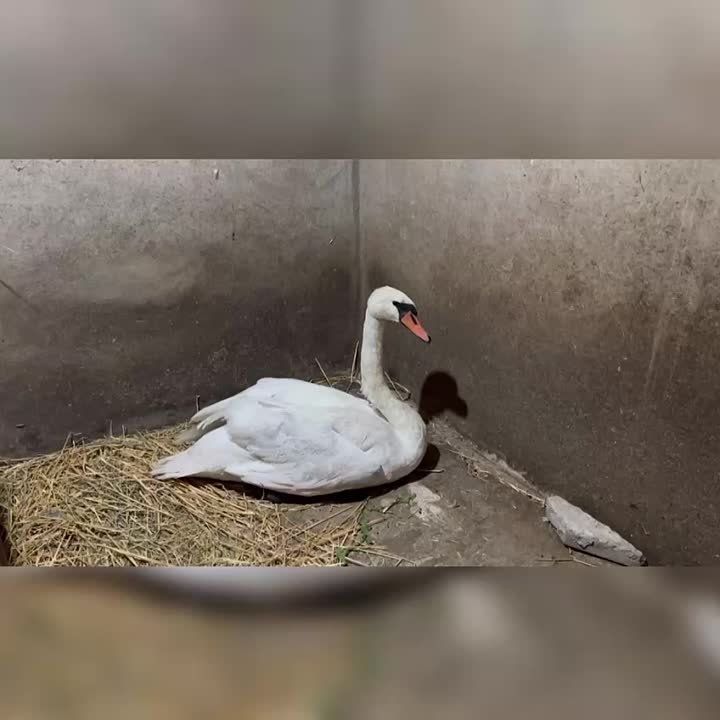 � ��������� ����� ����������! �����������������, �� ����� ��������