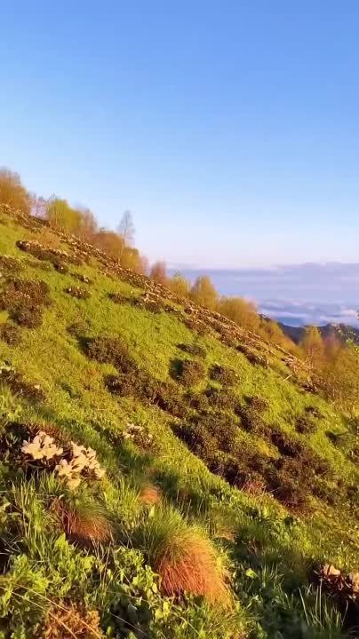 ����� ����� ������ ���� ������� ����� � ������������� � ������������� ���, ������� ������ � ����, ����� ��� �������-�� �����������! ��������� ������ ����������� ������� ��������� � ������������, � ����� ��� � ������ ��� ��������� ������ � ������������!