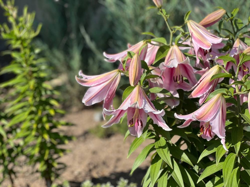 ������ ������: ������ ����! ���� ���������� � ����� ����� � ���� ������ ��� ������������� �� ������ ��� � ���������� ����� ������� ����� ���, ���� �� ��������� �������!