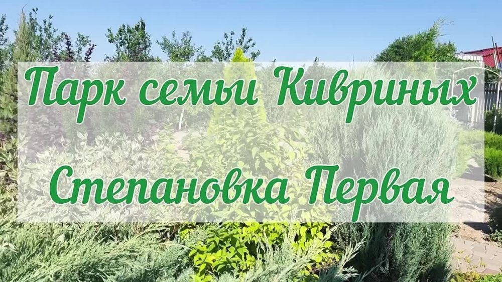 ������ ������: ��������� ������ � ������ �������� �� ����� ������, ��� ��� ��� �����. �� ��������� �������� ���� �����, � ���������� �� ���� ������� �������