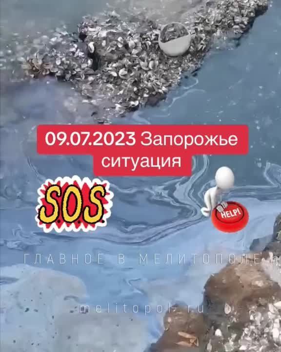 ������ ��� ��������, ����� ������� � �������� �� ������ ������ � �������������� ��������� ������ ��������� ������������