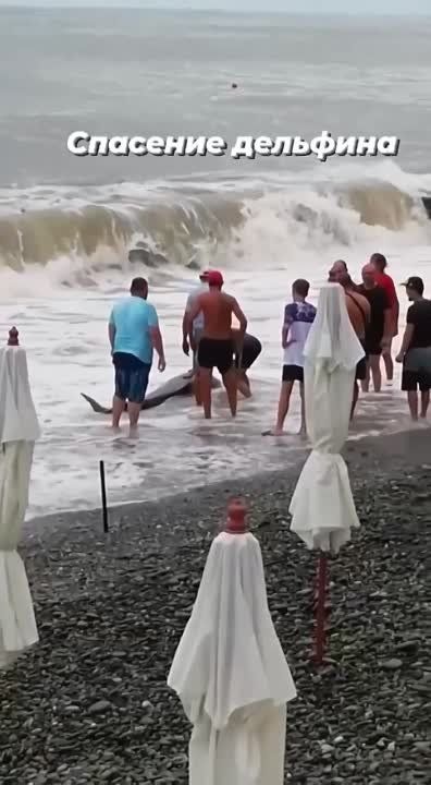 ������ ������: ������ ����! ����� ������� �� ������� ����