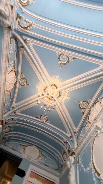 ������ ������: �������� �����-����������: ������ ���� ������� ������