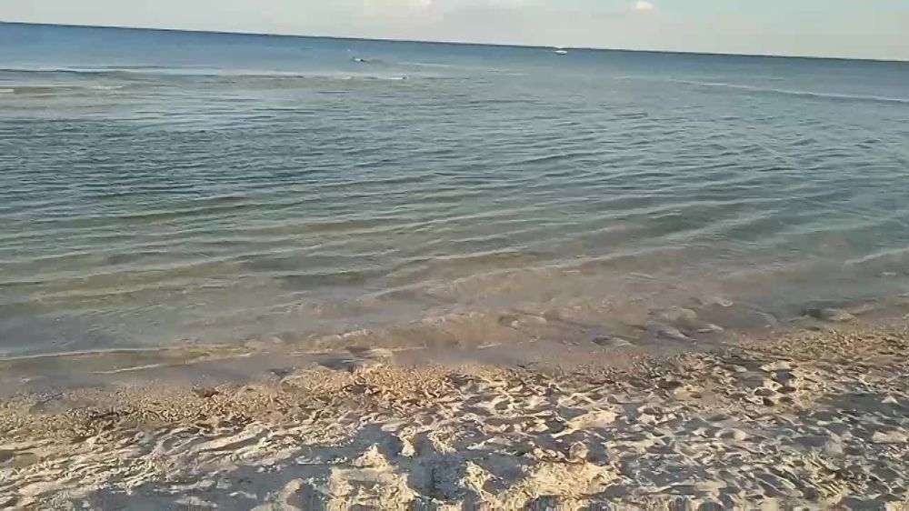 �������� ���� ����� ������!