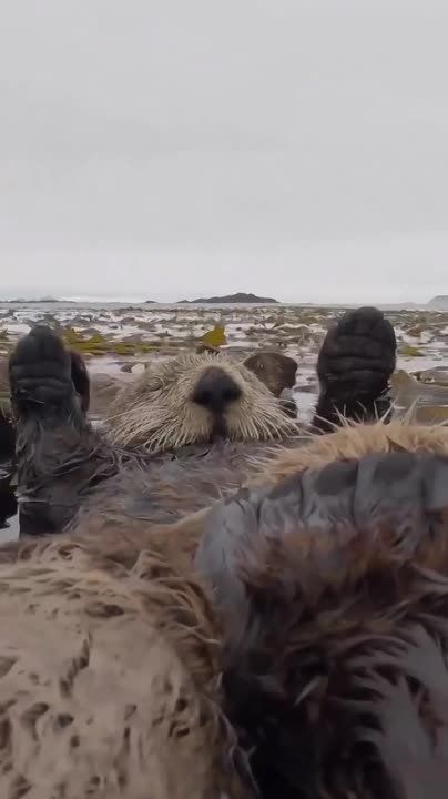 ������ ������: � ������ �����! ����� ����� �� �����?