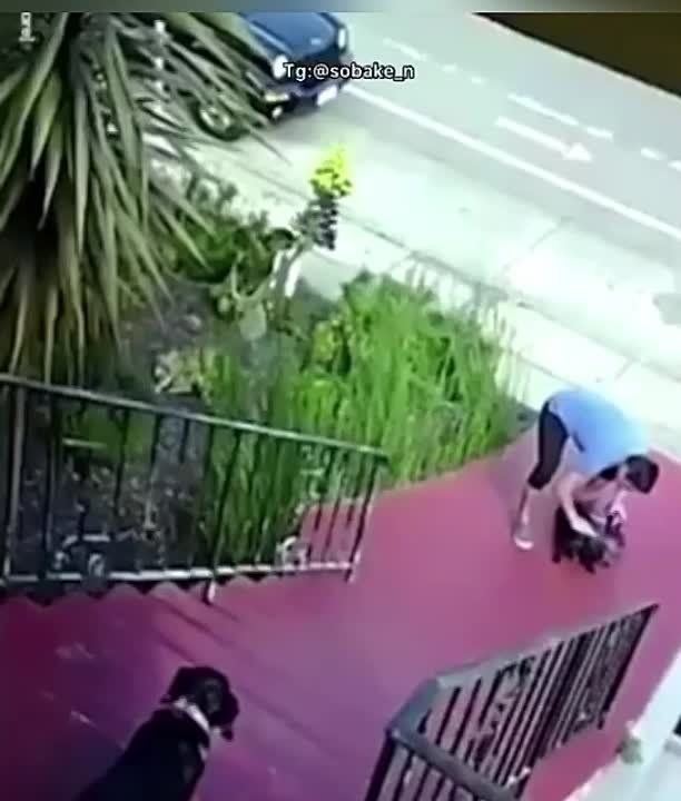 ������ ������: � ������ �������� ��������� ����� � �����: ������� ������� ��������������� ��������