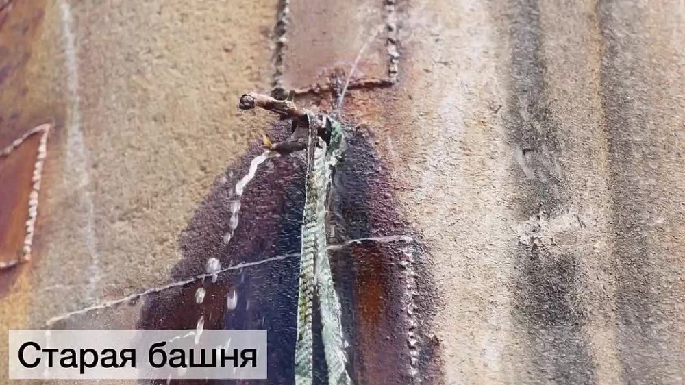 ������ ������: ����� ����� ����������� � �����������