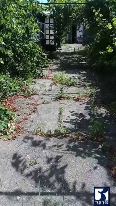 � �������������� ������ ��������� ��������� ����� � ���������, ����������� � ������������������� � ���