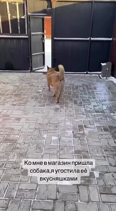 ������ ������: �����������! ����� ����� ����� ���� ���� ������ ������������� ������