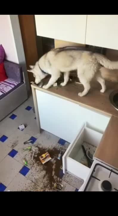 ������ ������: ��������� ����. �������� �������� ���������� �� ������, ���� �� ����������� � ������ �����!