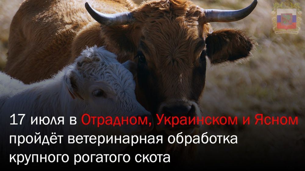 ��� ��������� � ��������� ��������� ������ ������� ������������ ����