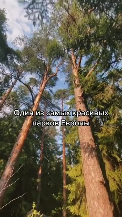 ������ ������: ���� �������: ����� ������� � ������������� �������