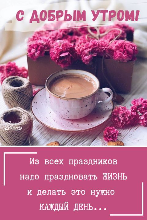 � ������ ��������