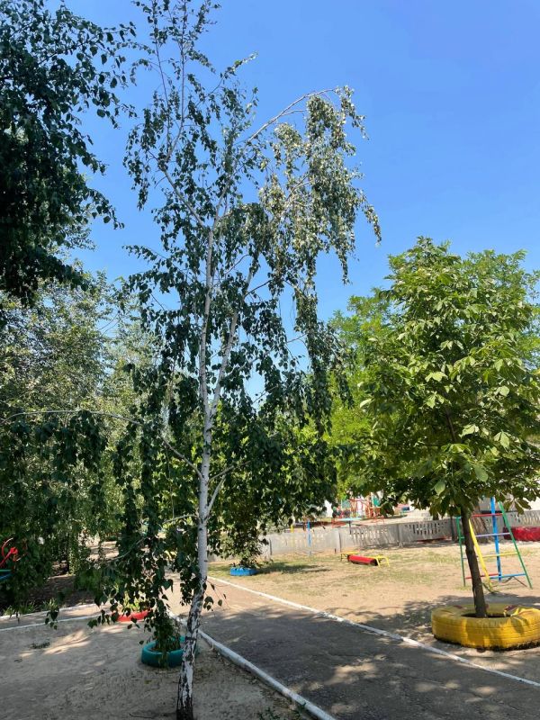 ������� ������ � ����������� ������ �� 17.07.2023
