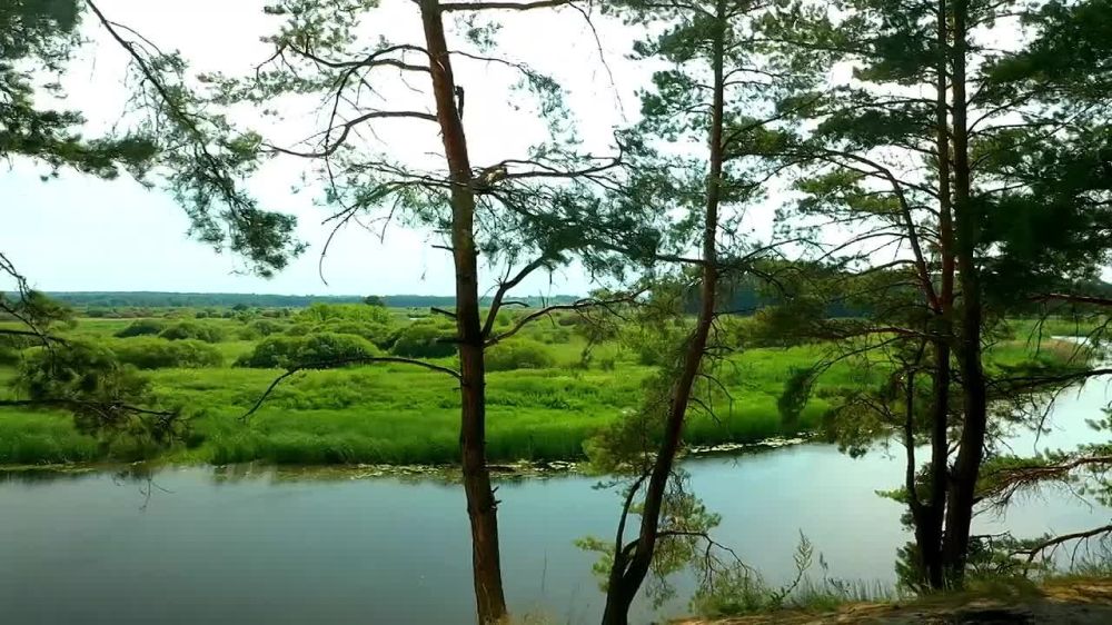 ������ ������: ��������������� �������� � ����������, �������� �������: ���������� ������� �������� ���������� ����